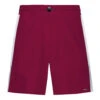 Head Performance Shorts Men - Berry, White